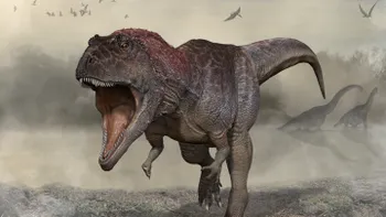 Cât de inteligenți au fost, de fapt, dinozaurii: T. Rex, o capacitate cerebrală asemănătoare unui babuin