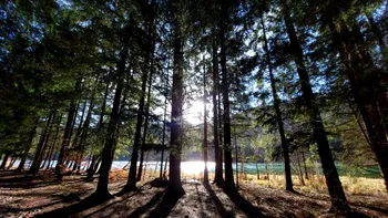 Cum te vindecă natura, dacă îi dai o șansă: ce au descoperit oamenii de știință