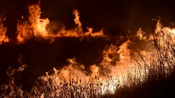 Incendiu de proporții în Delta Dunării. Pompierii au reușit să oprească flăcările din extindere