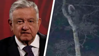 Președintele Mexicului a devenit viral după ce a postat „dovezile” existenței unui elf FOTO