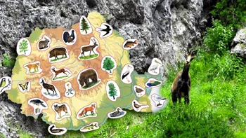 Animalul care nu are ce căuta în România: adus de partidul socialist, la ordinul tovarășului, el este și astăzi unic la noi în țară