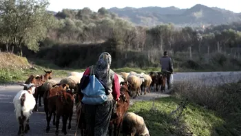 Cercetătorii au descoperit un nou sindrom: studiul de caz, o întreagă familie “în patru labe”