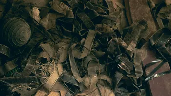 Fotografia pe film, toxică pentru mediul înconjurător: ce se întâmplă cu soluțiile și materialele folosite