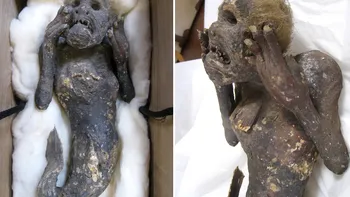 Ce este, de fapt, maimuța mumificată din Japonia: ce au descoperit oamenii de știință despre această ciudățenie