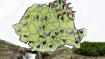 Creatura care trăiește în România și o poti vedea, poate, o singură dată în viață. Specia este recent descoperită și o găsești doar la noi