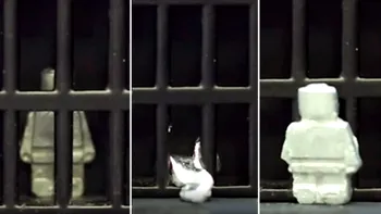VIDEO Robotul care își schimbă forma a evadat din “închisoare”: ce este “mini Terminator”