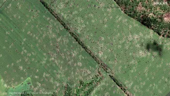„Dimensiunea contaminării este uriașă și este răspândită în toată țara”. Fermierii ucraineni dezgroapă cu mâinile minele de teren pentru a putea face agricultură