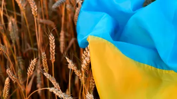 Rusia prelungește acordul pe cereale, dar numai pentru încă 60 de zile. Ce condiție pune pentru reînnoire