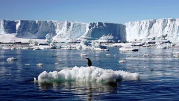 Gheața din Antarctica, pe punctul de a deveni „istorie”: cât de gravă este situația, cum ne afectează
