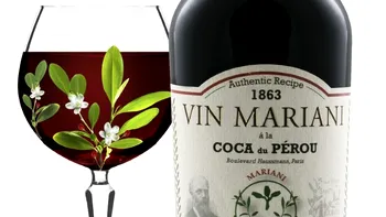 Vinul făcut din cocaină care a fost îndrăgit de Papă și a inspirat Coca-Cola: ce este Vin Mariani