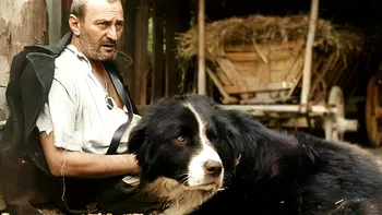 Partenerul preferat al lui Amza Pellea: „Nu înjură, nu bârfeşte, nu este invidios. Într-un cuvânt, are numai calităţi!”