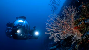 În adâncuri sălășluiește „o lume” total necunoscută cu ființe stranii. Expediția ambițioasă care va rezolva misterul din oceanele Pământului