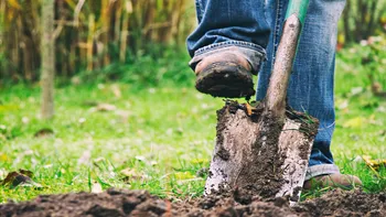 Un adolescent s-a apucat să sape în grădină, după o ceartă cu părinții. Ce a putut să descopere