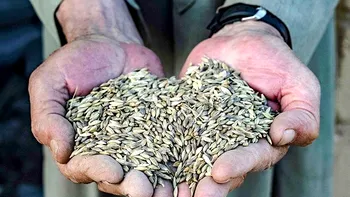 Ungaria vrea să interzică cerealele ucrainene până la finalul anului