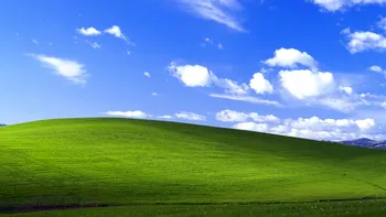 Povestea celei mai vizionate fotografii din lume: Windows XP a făcut-o celebră