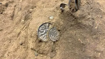 Descoperire uimitoare în Danemarca: tezaurul viking de sub porumb
