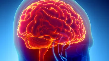 Cum intră plasticul în creier: experimentul care ar trebui să ne dea de gândit