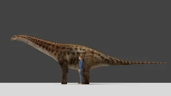 Ce au în comun un restaurant și dinozaurii de acum 100 de milioane de ani: descoperire uimitoare în China