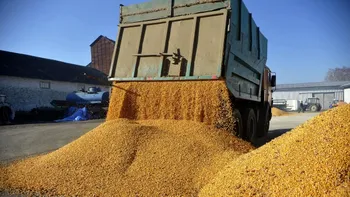12 state UE contestă acordul UE privind cerealele ucrainene. Ce nemulțumiri au