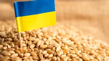 Importul de cereale ucrainene în România, suspendat. Comisia Europeană a decis când va fi reluat 
