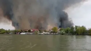 Incendiu de proporții în Delta Dunării. Peste 40 de hectare de vegetație au ars