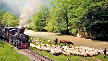 Mocănița din Vișeu, unică în lume: de ce trebuie să parcurgi traseele cu trenurile cu abur îndrăgite de turiștii din întreaga lume