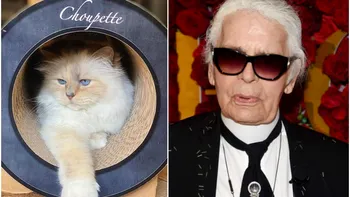 Moștenire de 1,5 milioane de dolari pentru pisica lui Karl Lagerfeld. Cum trăiește Choupette după decesul designerului