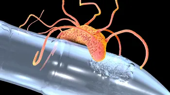 Pericolul din adâncuri: bacteria care ar putea să infecteze omenirea, legătura cu deșeurile din plastic