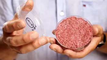 Carnea cultivată în laborator, de până la 25 de ori mai rea pentru mediu decât carnea de vită