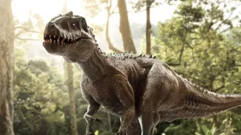 Descoperire remarcabilă legată de dinozauri: câți T.Rex au existat pe Pământ