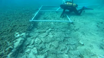 Descoperire remarcabilă sub Marea Adriatică: ce ascunde drumul vechi de mii de ani