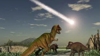Ne aflăm într-o a șasea extincție în masă? Ce înseamnă asta, de fapt