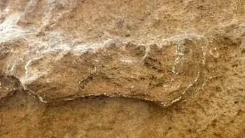 Descoperire fabuloasă a arheologilor: cele mai vechi dovezi ale lui Homo Sapiens