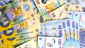Ideea de afacere care-ți aduce bani cu sacul în România: investiție mică, profit mare