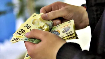 100.000 de euro de la stat, ca să-ți deschizi propria afacere: trebuie să ai peste 30 de ani și să vrei să fii patron