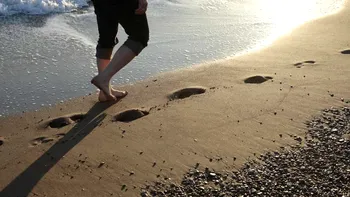 Creatura ciudată pe care câțiva turiști au găsit-o pe plajă. Explicațiile experților