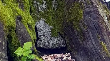 Monumentul istoric din România pe care turiștii se înghesuie să-l vadă. Ce s-a descoperit după 400 de ani: ”Este o minune”