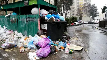 Când e ars la buzunar, românul știe să fie civilizat. Doar legile dure și banii ne mai pot 