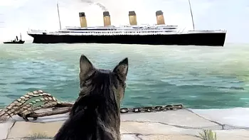 Singurul suflet care a știut că Titanicul se va scufunda: pisica Jenny și-a dat puii jos de pe navă înainte de plecare