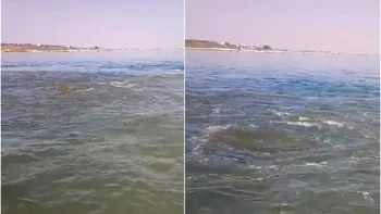 Dezastru în Marea Neagră. Deversare de fecale și urină în apă între Eforie Sud și Nord