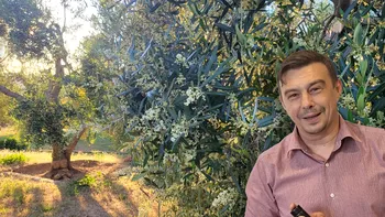 Afacerea românească cu care a dat lovitura un craiovean. A luat deja medalii importante și se vinde și cu 300 de lei, deși nu se cultivă în România