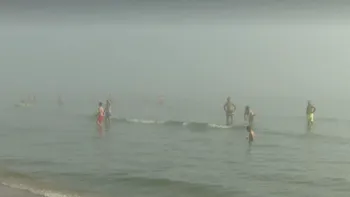 Fenomen ciudat pe litoralul românesc. Turiștii din Constanța au rămas șocați când au văzut plajele - Foto