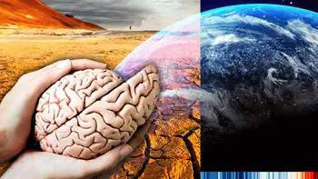 Legătura îngrijorătoare dintre încălzirea globală și dimensiunea creierului: cum ne afectează schimbările climatice