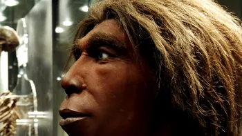 ”Omul din Denisova”, cea mai misterioasă rudă a noastră: cine era acest  ”verișor”preistoric al Homo Sapiens