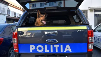 Poliția Animalelor din România este doar începutul dezastrului: eșecul instituțional de la care “ne mănâncă câinii” EXCLUSIV