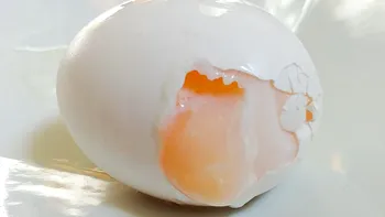 Țara în care 1 din 4 oameni nu știu să fiarbă un ou. Ce a scos la iveală un sondaj