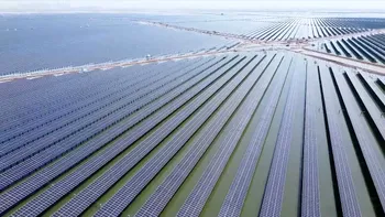 Cea mai mare centrală solară are mai multe funcții: produce curent, dar crește și creveți