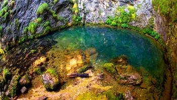 Locul unic din România, în adâncurile pământului, sub ape, preferat de aventurieri și de iubitorii de frumos. Unde se află, de ce este special Izbucul Tăuz
