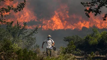 Unde se manifestă incendiile de vegetație în Europa și Africa de Nord. Harta zonelor afectate