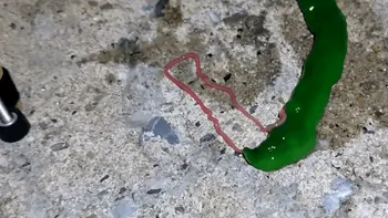 Animal misterios filmat de un turist. Ce este creatura, de fapt. Imaginile au fost surprinse în Taiwan și au devenit virale